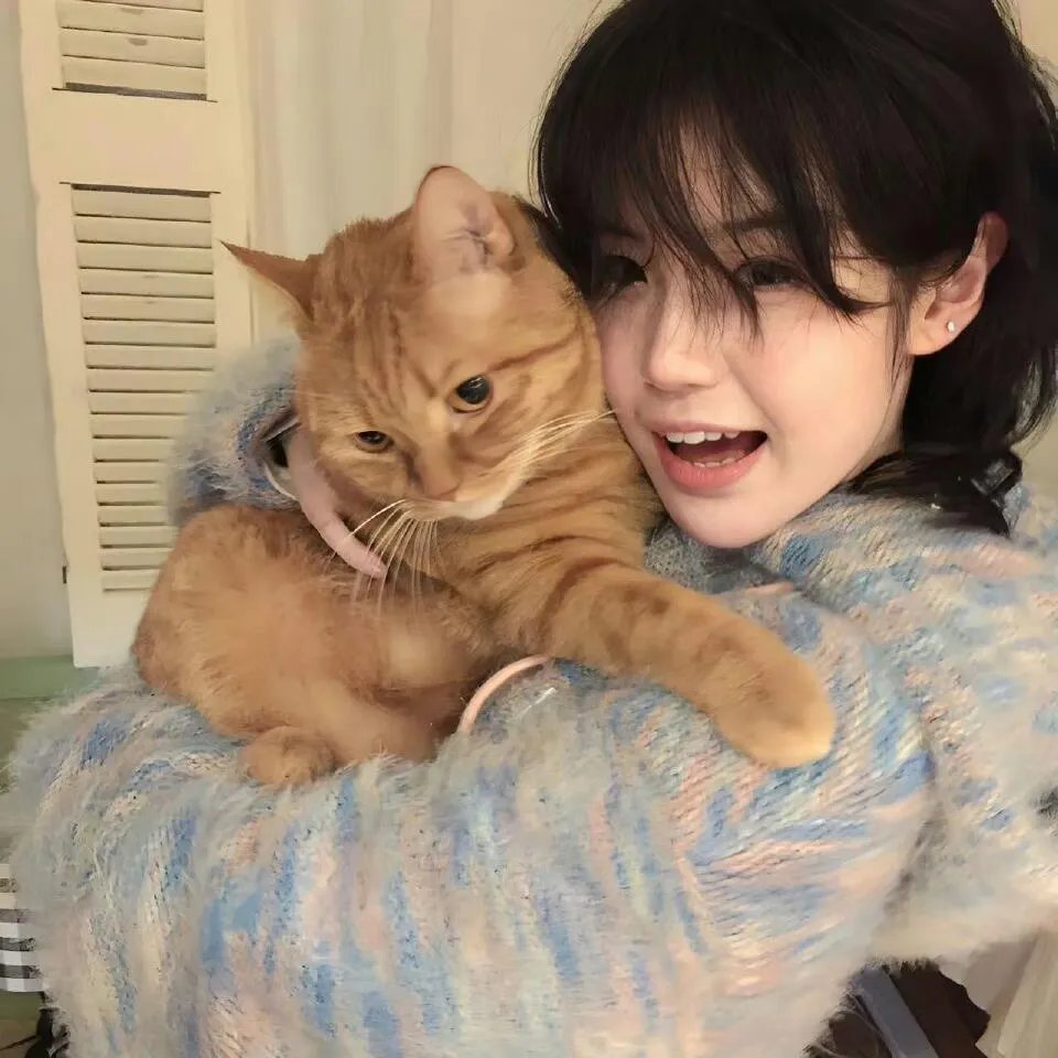 一入无情道成空